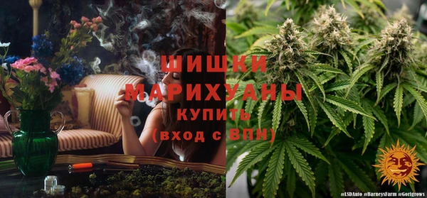 ECSTASY Новозыбков