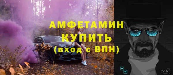 стаф Богданович