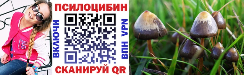 мориарти телеграм  Хотьково  Галлюциногенные грибы MAGIC MUSHROOMS  kraken как войти 